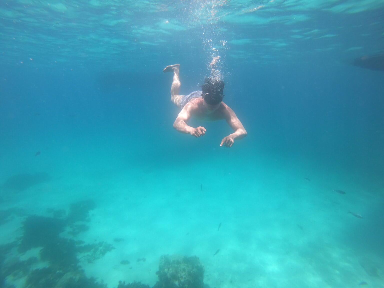 Tourist snorkelling in the clear turquoise waters of Anchor Bay, one of the best places to snorkel in Malta. Surrounded by dramatic cliffs and vibrant marine life, this spot offers an unforgettable underwater experience for snorkelling enthusiasts of all levels.