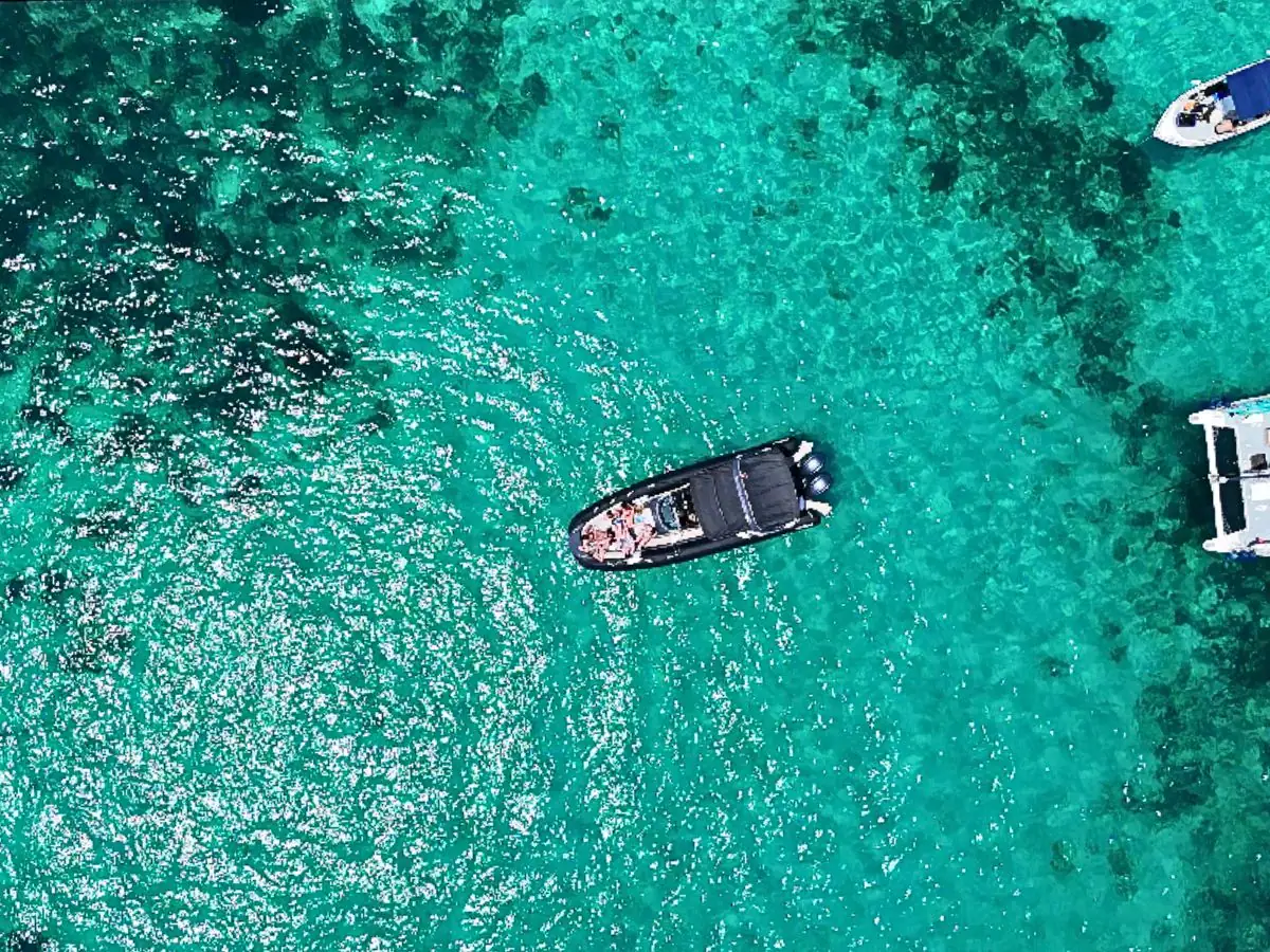 WhatsApp Image 2025-06-24 at 20.45.01_2a999b45