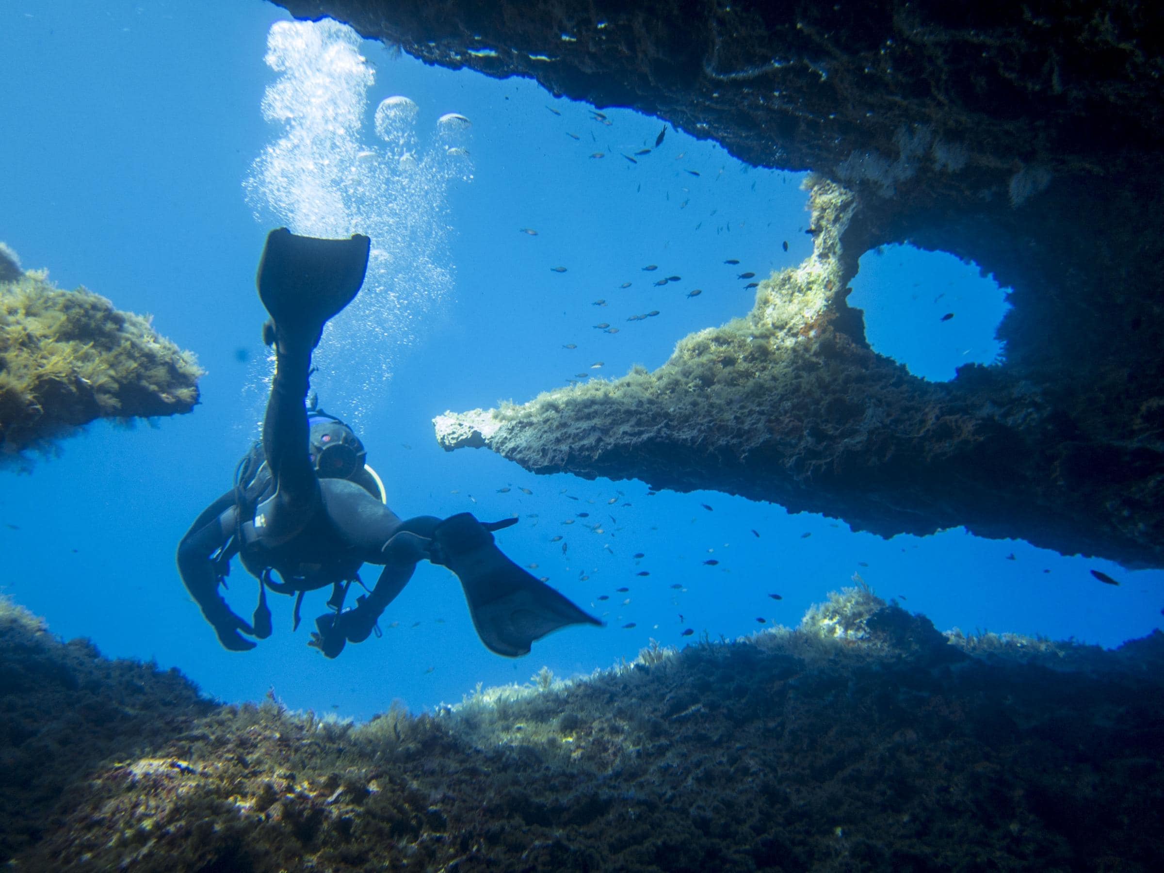 Santa Maria Caves Diver